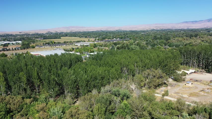 Aerial drone view over pine treetops toward commercial buildings, fields and brown hills near Meridian, Idaho.