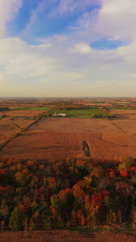 Vertical drone shot showing colorful fall foliage, harvested corn fields, and a distant white farmhouse under a soft sunset sky in rural Wisconsin.