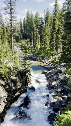 Small waterfall and rushing forest stream flowing through evergreen pine trees in Grand Teton National Park, Wyoming