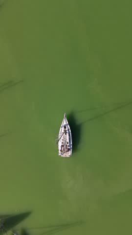 Sailing yacht with lowered sails moving across green marina water on Lake Balaton, Hungary, with people on its deck and a narrow wake trailing behind the hull. Copy space. Vertical video.