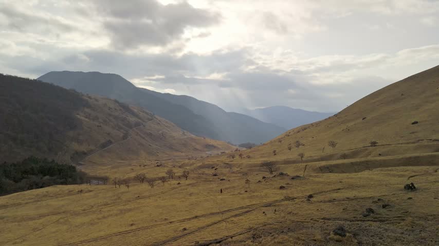 A sweeping aerial view of a dry mountain valley dotted with sparse trees and yellow grass, featuring a distant winding road.