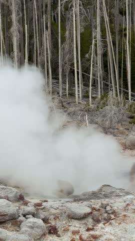 Yellowstone National Park - Steamboat Geyser in Norris Geyser Basin
