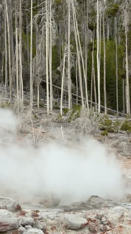 Yellowstone National Park - Steamboat Geyser in Norris Geyser Basin