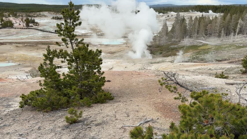 Yellowstone National Park - Porcelain Basin in Norris Geyser Basin