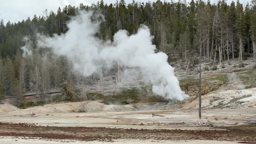 Yellowstone National Park - Porcelain Basin in Norris Geyser Basin
