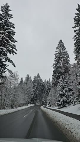 Scenic winter drive through dense coniferous woodland with fresh snow in Germany.