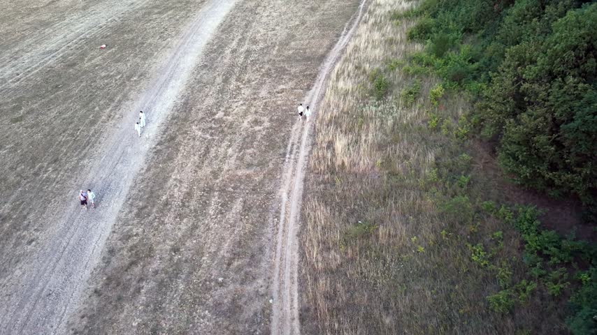 Aerial drone view of people walking along a dirt path between dry field and green forest in rural landscape

