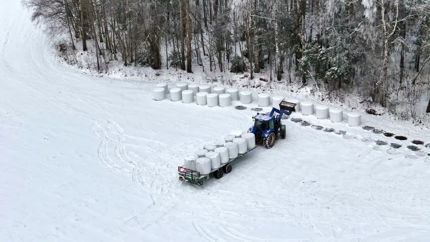 Aerial view of a blue tractor pulling a trailer loaded with white hay bales through a snow-covered field near a forest in Latvia.