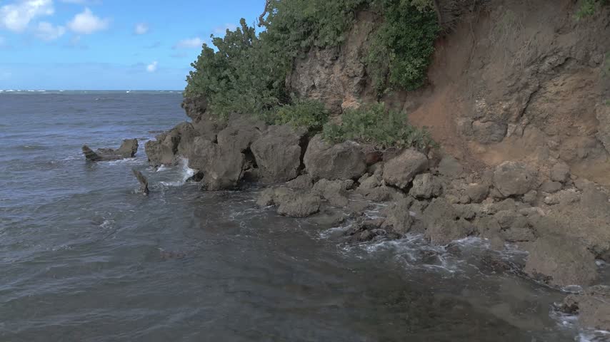 Aerial drone view of a vegetated sea cliff with waves breaking on the rocky shore in Puerto Rico