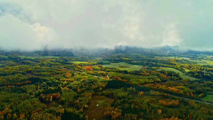 Aerial view of autumn forest landscape with colorful trees and fields under a cloudy sky in Latvia.