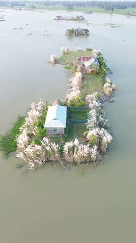 Small homestead surrounded by tall white grass on an island in the water an aerial view showing a rural home situated on a tiny island