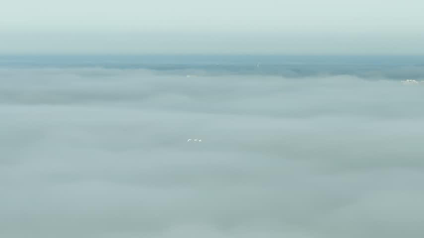 Three swans are flying over a misty city