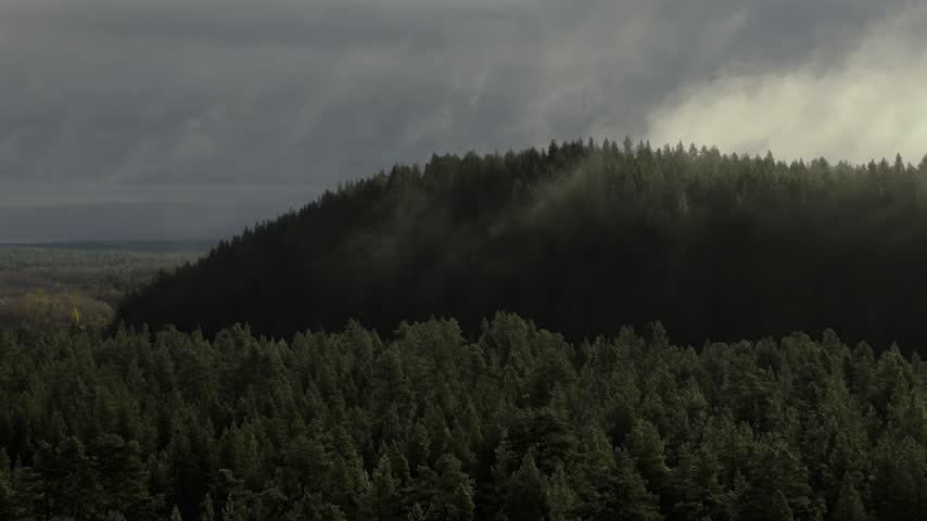 Misty Forest Hill Under Dark Clouds at Dusk