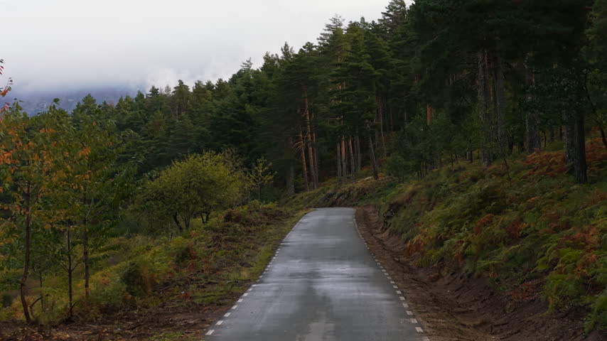 Point of view shot from a vehicle driving along a narrow, wet asphalt road winding through a dense pine forest on a foggy and overcast autumn day in the mountains of Spain