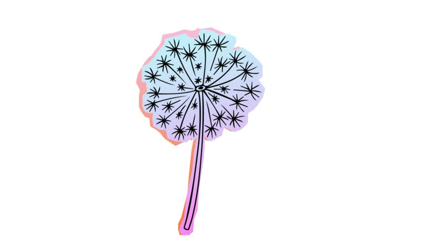 Dandelion flower seed head isolated on transparent background pastel gradient blowball weed nature flora vector illustration motion design element