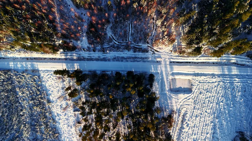 Aerial view of a snowy road cutting through a dense evergreen forest covered in deep snow under bright winter sunlight in Latvia.