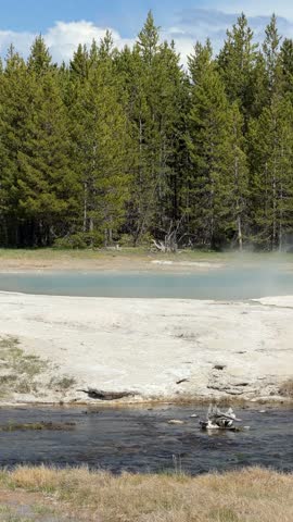 Yellowstone National Park - Green Spring in Black Sand Basin