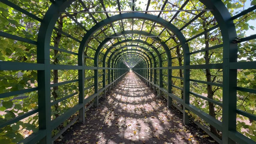 Long symmetrical park pergola tunnel made of green wooden trellises creating intricate shadows on the path.