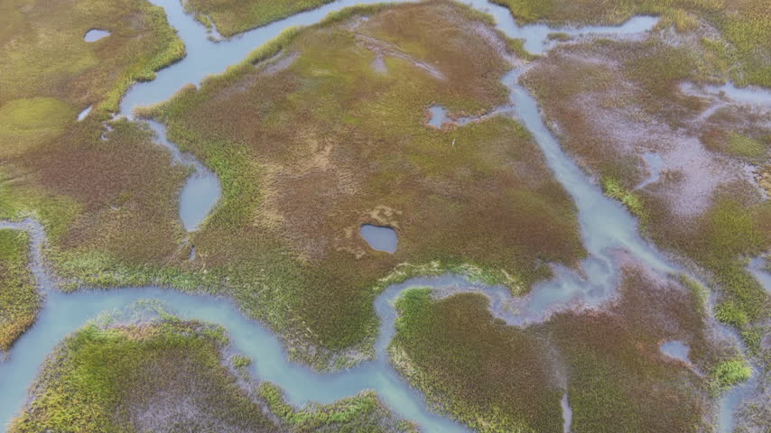 Low clouds drift over a beautiful salt marsh growing in Orleans, Massachusetts. Salt marshes are an incredibly important coastal habitat used by many species of fish, birds, and shellfish.