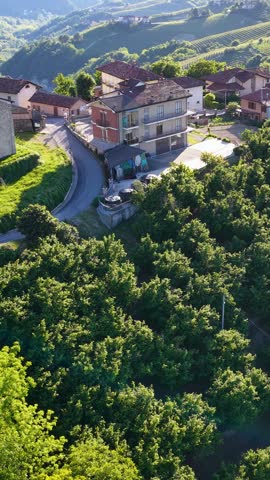 High angle aerial view panning across lush vineyard hills and village houses in Piedmont, Italy.
