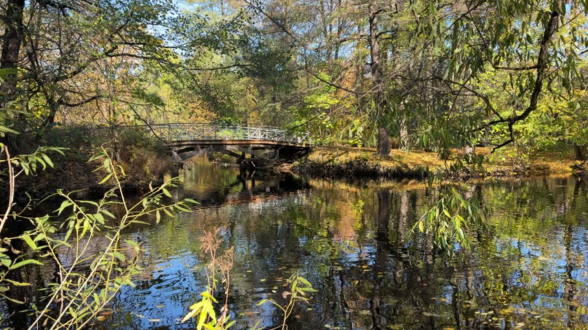 Charming park bridge over a reflective pond, serene woodland scene with autumn foliage