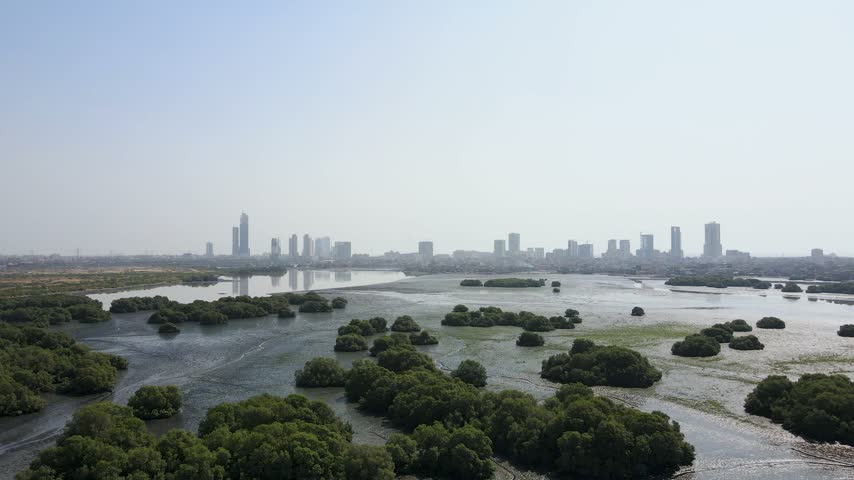 Aerial view of The Mangrove Forest with lush greenery and wetlands in front of the modern Karachi city skyline in Karachi, Sindh, Pakistan.