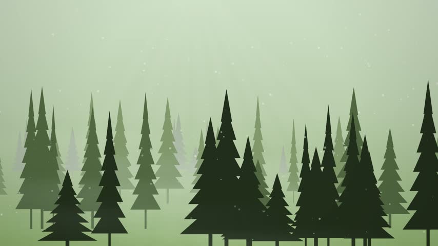 Scenic cinematic view of a tranquil misty pine forest under a soft morning fog and ambient daylight.