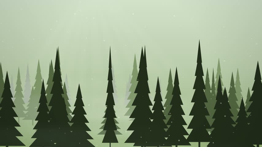 Scenic cinematic view of a tranquil misty pine forest under a soft morning fog and ambient daylight.