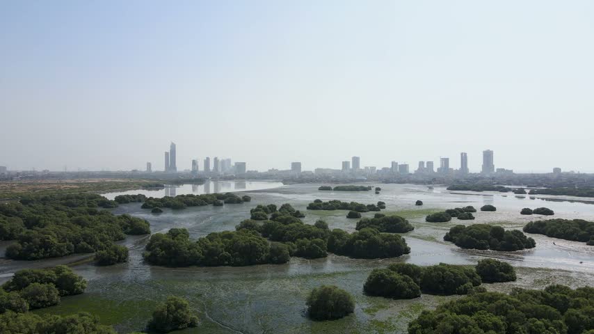 Aerial view of the Mangrove Forest with the Karachi city skyline in the background under a clear sky in Karachi, Sindh, Pakistan.