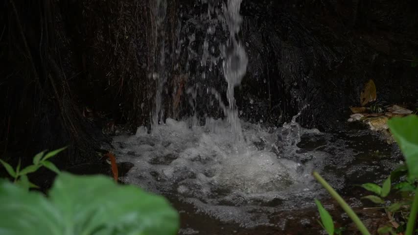 Small waterfall in the forest