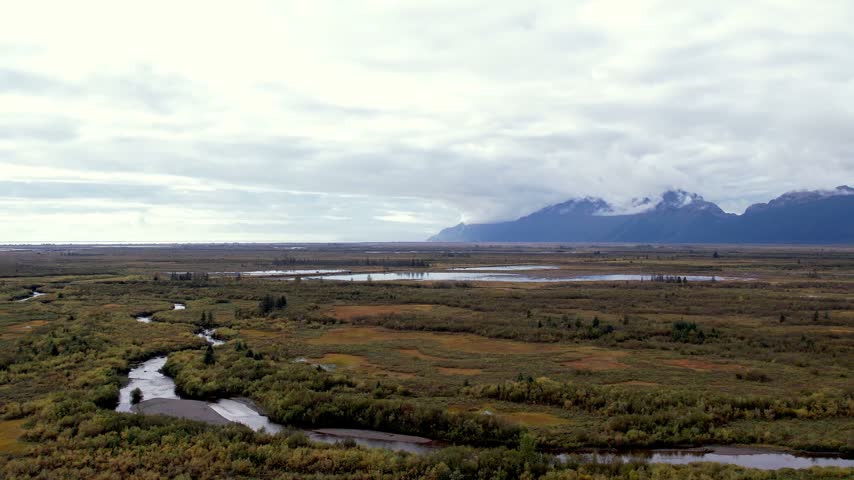 High aerial view over vast coastal wetlands with meandering streams and scattered ponds stretching toward snow topped mountains near Cordova Alaska. 4K 60fps drone footage.