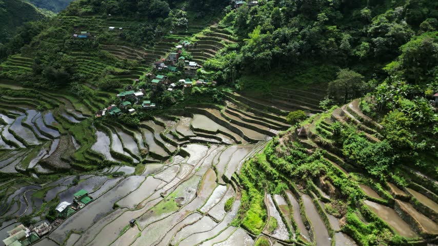 Aerial view of Batad Rice Terraces with lush green slopes and traditional village houses in Banaue, Cordillera Administra, Philippines.