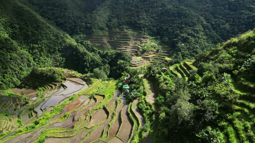 Aerial view of Batad Rice Terraces with lush green slopes and traditional farming landscape in Banaue, Cordillera Administra, Philippines.