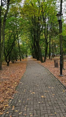 Paved path in autumn park with fallen leaves