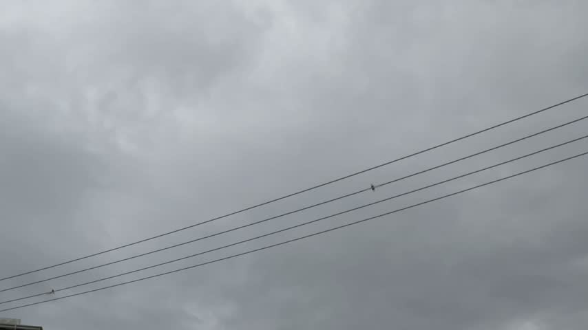 Upward driving perspective of dense overcast storm clouds over roadside poles and treetops in Australia.