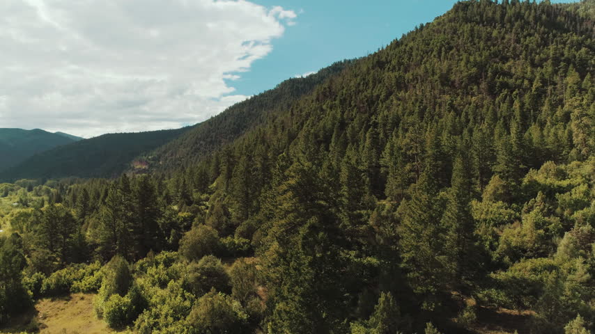 Pine covered hillside in the Colorado mountains aerial