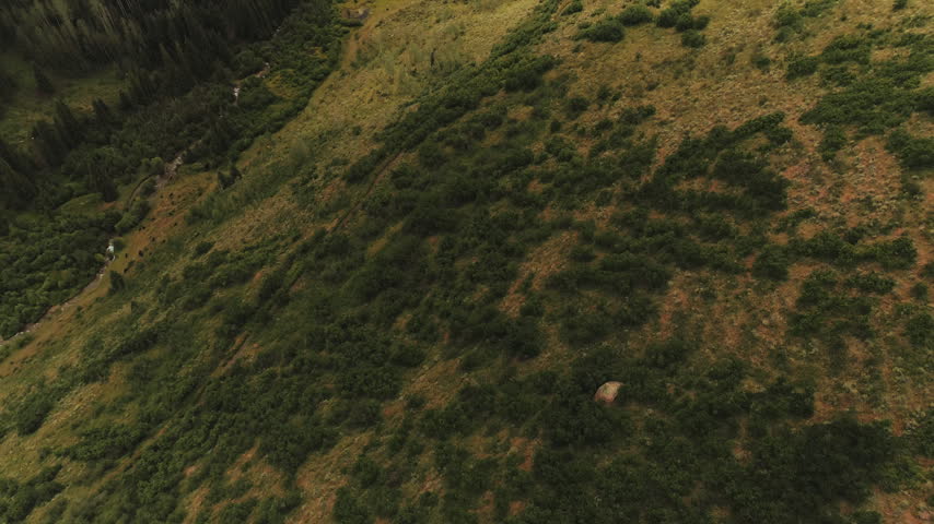Aspen and conifer valley in the Colorado Rockies aerial