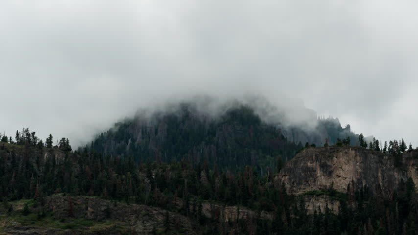 Mist clinging to a forested mountain peak in Colorado timelapse