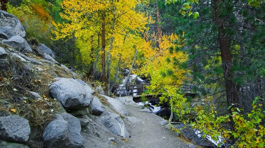 hiking trail in the Sierra Nevada Mountains during the fall colors