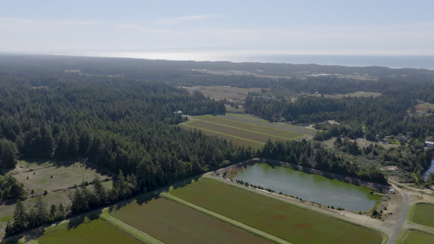 Cranberry farm in Bandon, Oregon, with commercial berry fields, cultivated bogs, and agricultural land across the southern Oregon Coast. High and wide tilt-down drone shot.