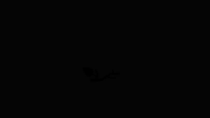 Stylized black bird with a red beak flies in, lands on a leafy branch, and flies away.
Minimalist 2D animation isolated on a transparent background with alpha channel.