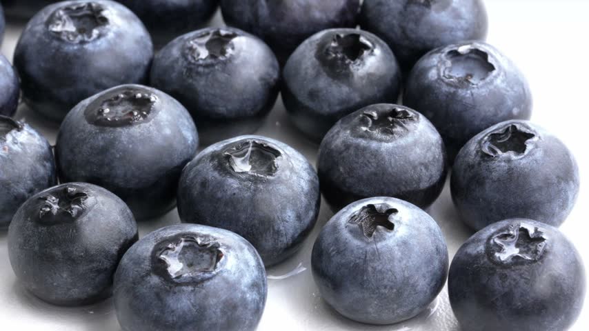 Close 4K view of Ica blueberries for food marketing, antioxidant nutrition, fresh produce and export agriculture