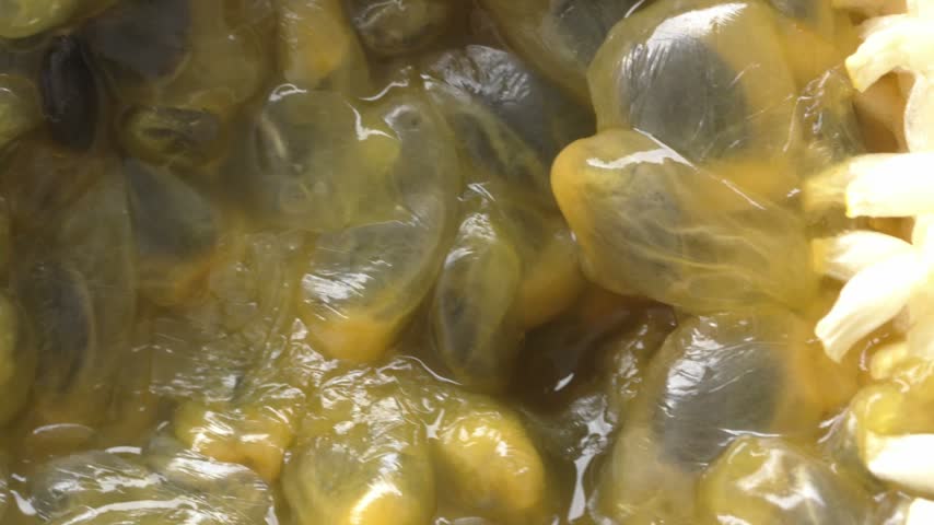Extreme macro 4K view of maracuya pulp and seeds, highlighting juicy texture for tropical food and beverage advertising
