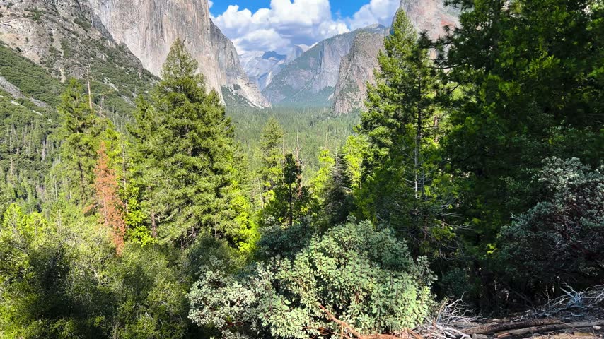 Panoramic valley view with granite cliffs and pine forest in Yosemite Village, California