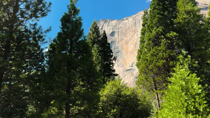 Pine trees framing a granite cliff under a clear blue sky