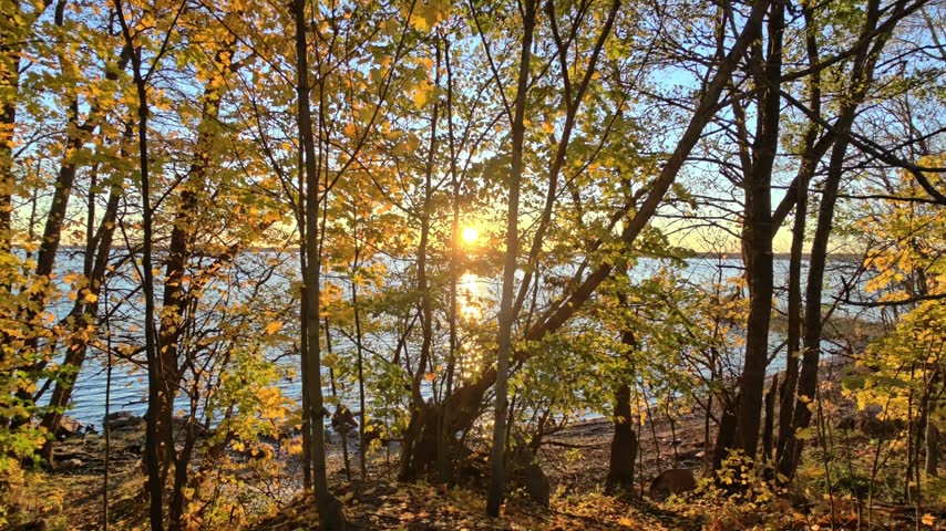 A serene scene of sunlight shining through trees near a body of water.
