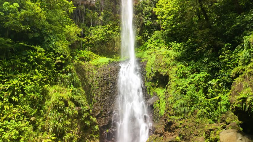 Camera rises while looking up along tall Middleham Falls cascading down rocky cliff between lush green ferns and trees in tropical rainforest in Dominica