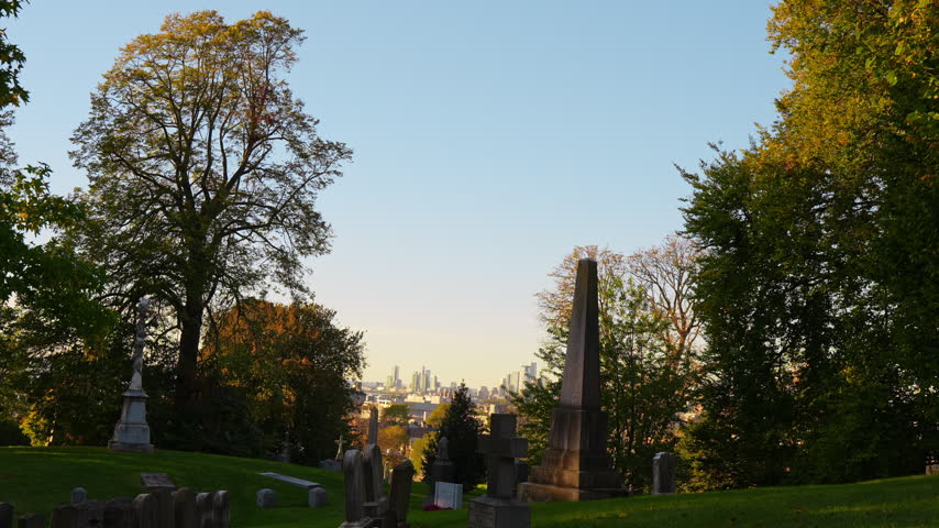 An obelisk stands among cemetery trees above a distant city skyline. Gray headstones dot a green slope between shaded trunks beneath a pale blue sky.