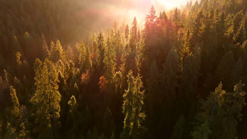 Dawn in the mountains in autumn. Sun rays break through the morning fog.