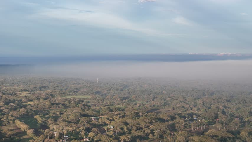 Aerial view of a forest beside a large lake under a cloudy sky during the day.